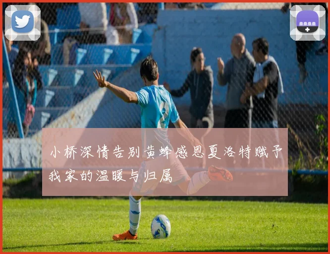 小桥深情告别黄蜂感恩夏洛特赋予我家的温暖与归属