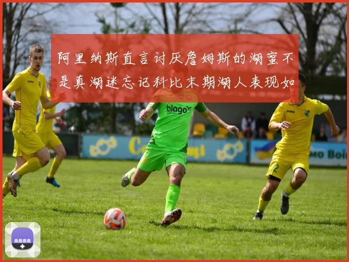 阿里纳斯直言讨厌詹姆斯的湖蜜不是真湖迷忘记科比末期湖人表现如何惨淡
